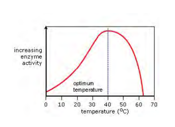 <ul><li><p><strong><span>Independent Variable:</span></strong><span> Temperature.</span></p><p></p></li><li><p></p><p><strong><span>Dependent Variable:</span></strong><span> Rate of reaction (measured by volume of oxygen produced).</span></p></li></ul><p></p>
