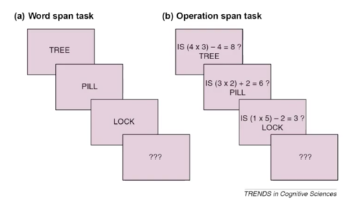 - Follow a similar method to Kyllonen & Christal, but on a tighter theoretical basis of WM
- Conclude that WM and 'g' are highly related, but not identical (~ 50-80% shared variance)
- Executive Attention view of WMC (controlled attention)