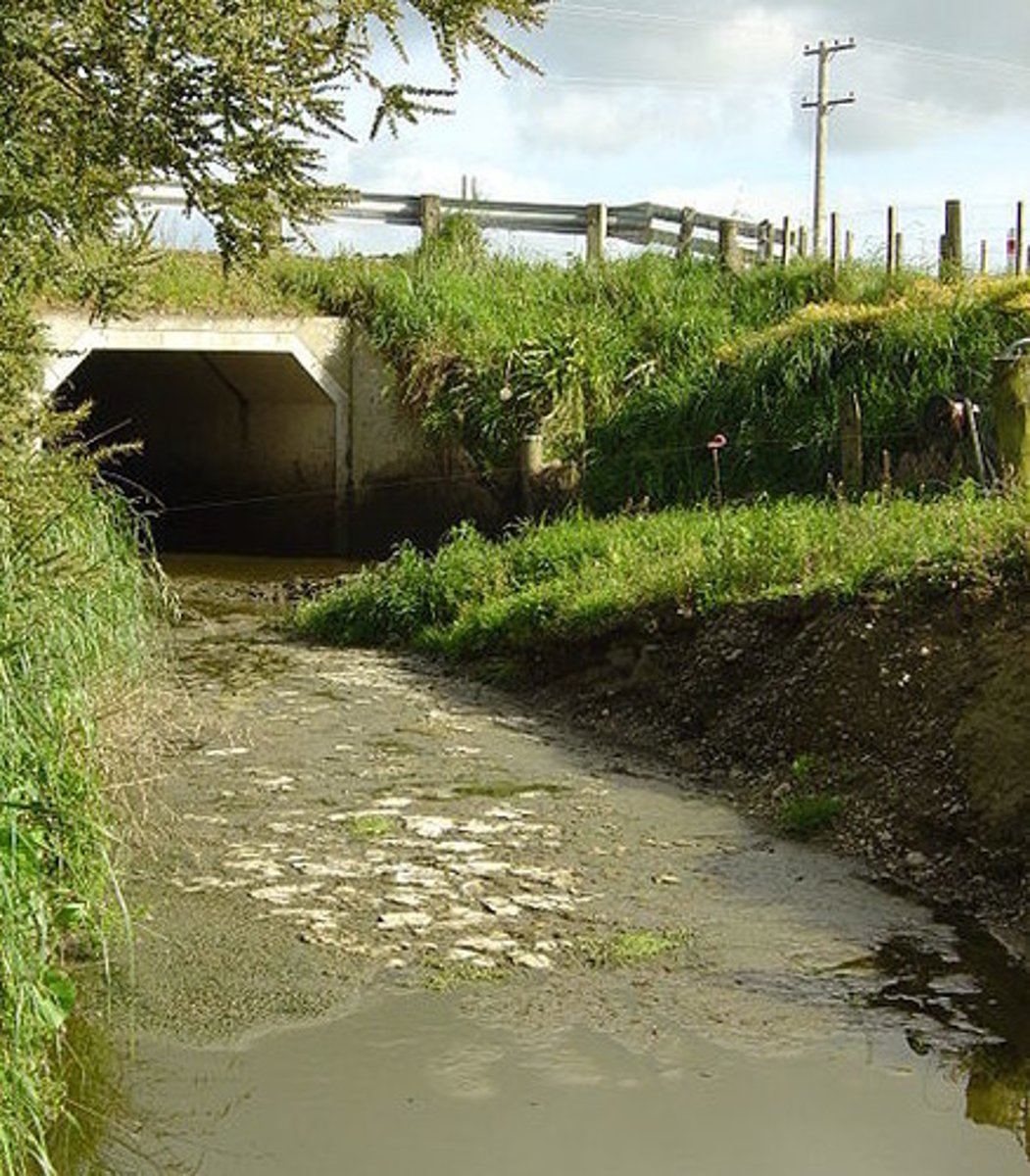 <p>pollution</p><p>(Note: many</p><p>pollutants remain</p><p>in the environment</p><p>for decades)</p>
