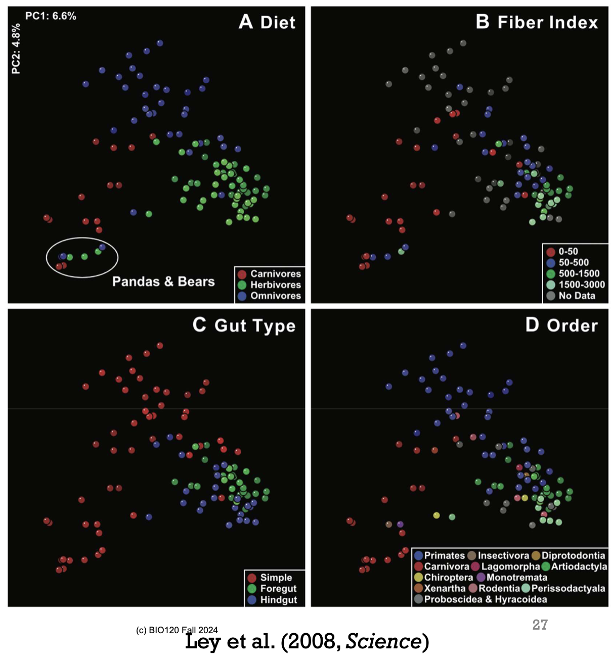 <p>The microbiomes in mammalian guts reflect the diet, phylogeny and morphology of species. </p><p>In the image, the dots represent different species. Dots that are close together have similar microbiomes, whereas dots that are far apart have very different microbiomes. The colours represent factors of interest (red = carnivore, green = herbivore, blue = omnivore). </p>