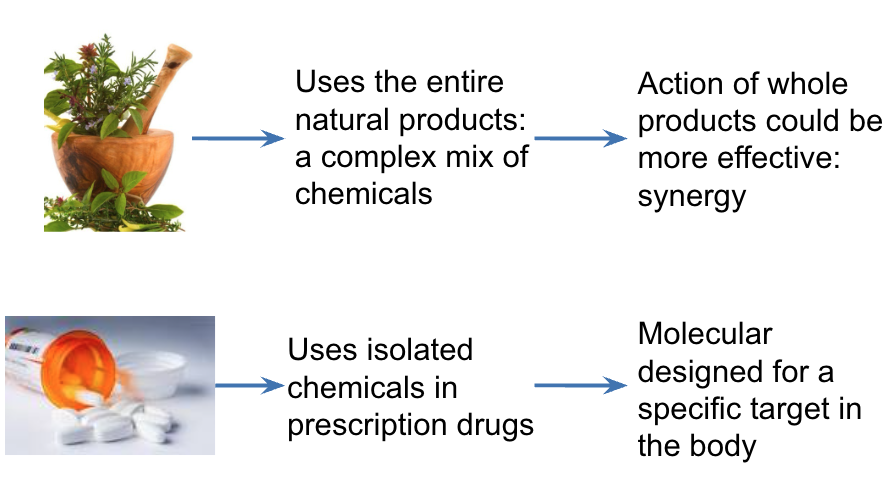 <p>herbals - whole natural products, broader effects</p><p>western - isolated chemicals, more specific targets</p>