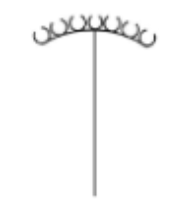 <p>Corymbs inflorescence</p>