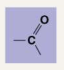<ul><li><p><strong>Carbonyl:</strong> C double bonded to O. Ketones are when the carbonyl group is within the carbon skeleton and there is a carbon on both sides. Aldehydes are when the carbonyl group is at the end of the carbon skeleton and there is a carbon on one side and a hydrogen on the other side. They hydrogen bond and are usually found in sugars. </p></li></ul><p></p>