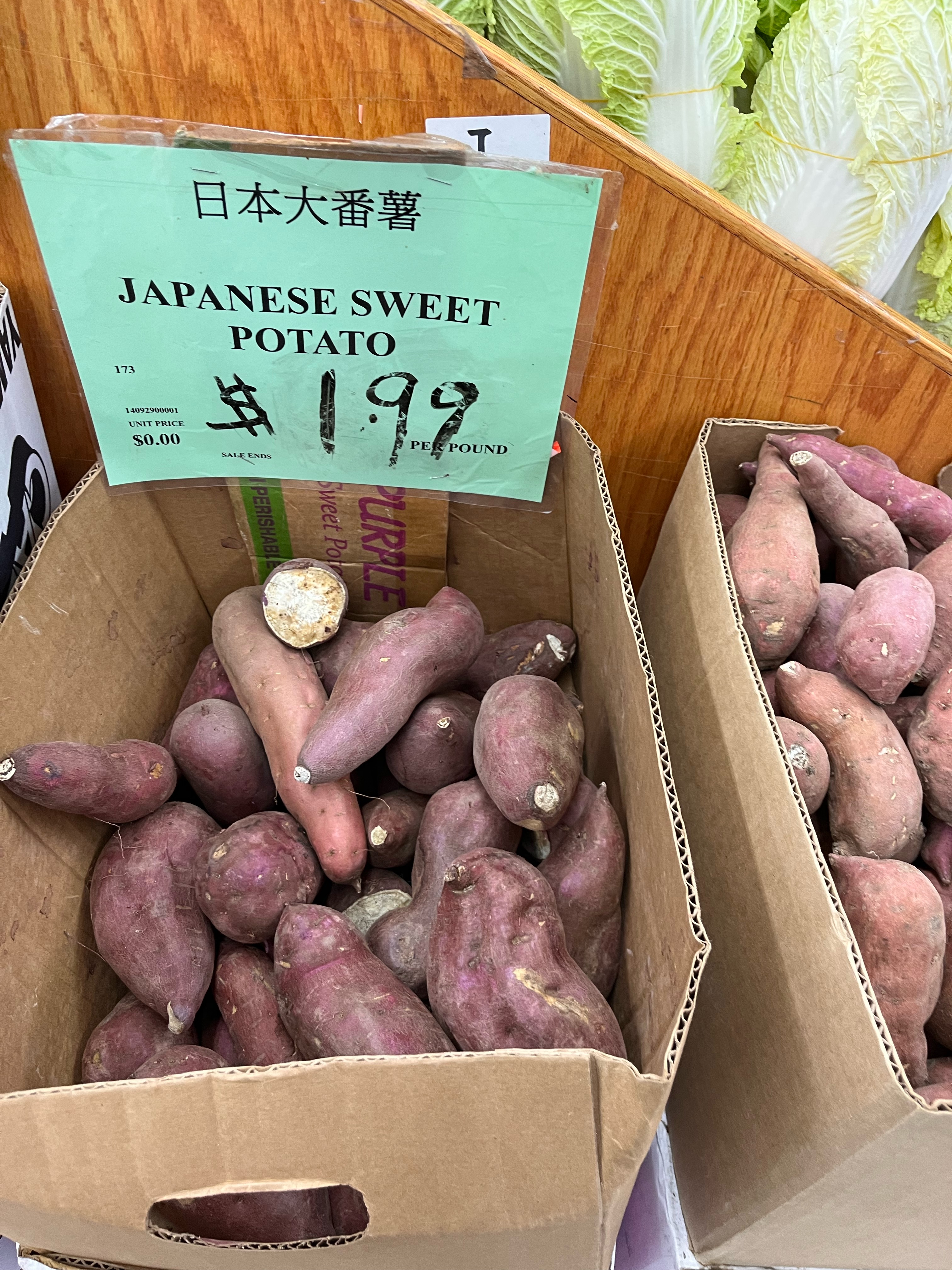 <p>JAPANESE SWEET POTATO</p>