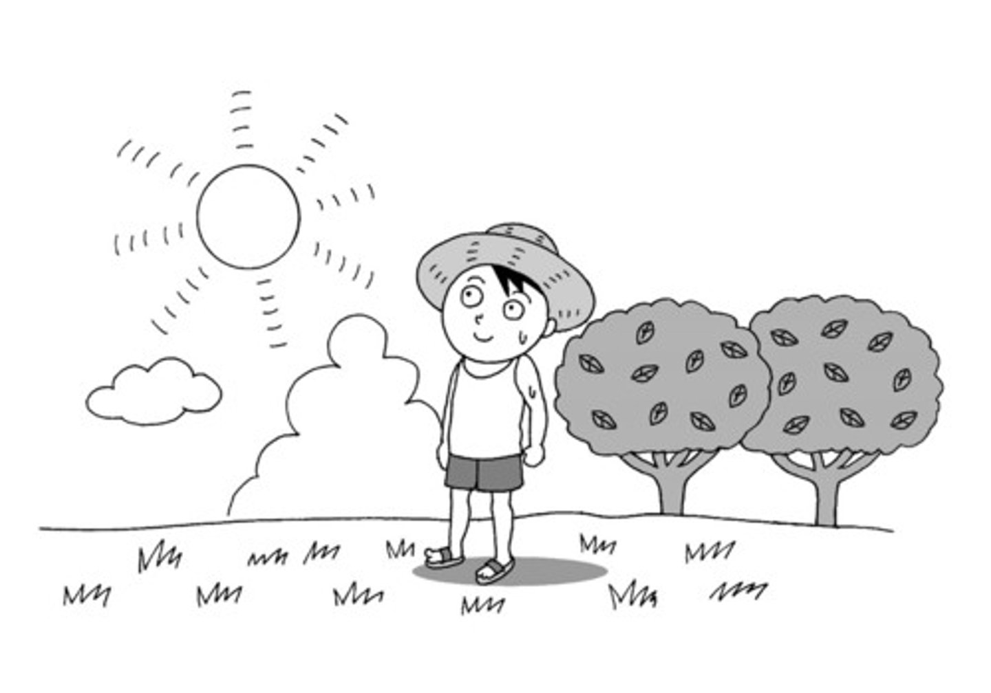 <p>Summer</p>