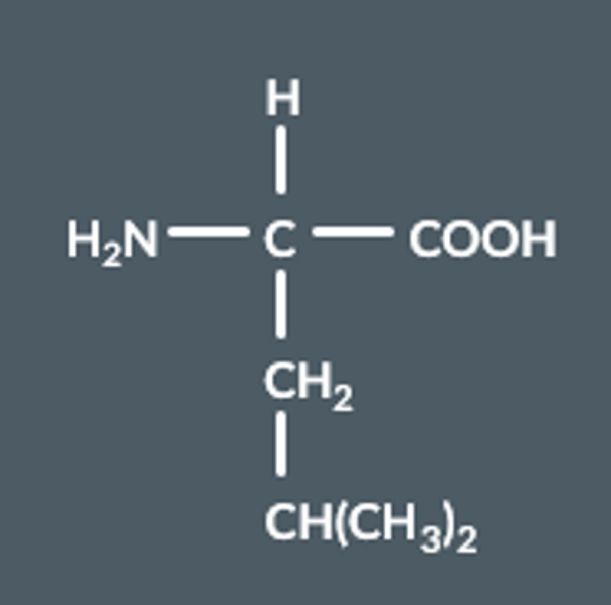 <p>2-amino-4-methylpentanoic acid</p>