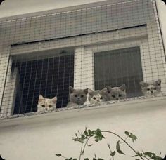 <p>Allergivaksinering varer ofte i flere år, til kroppen tåler mer av det.</p>