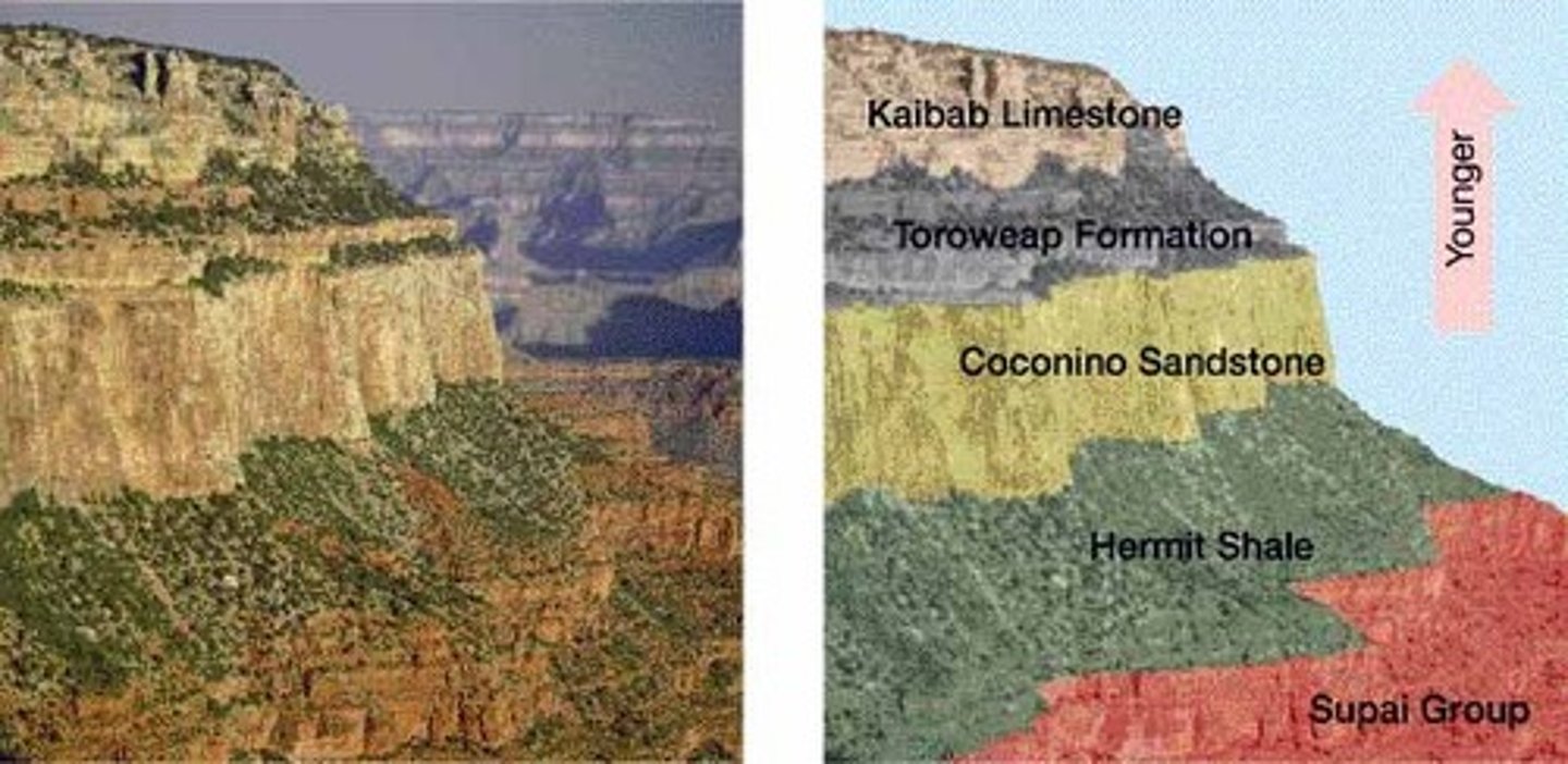 <p>The principle that any given rock layer is probably older than those above it and younger than those below it</p>