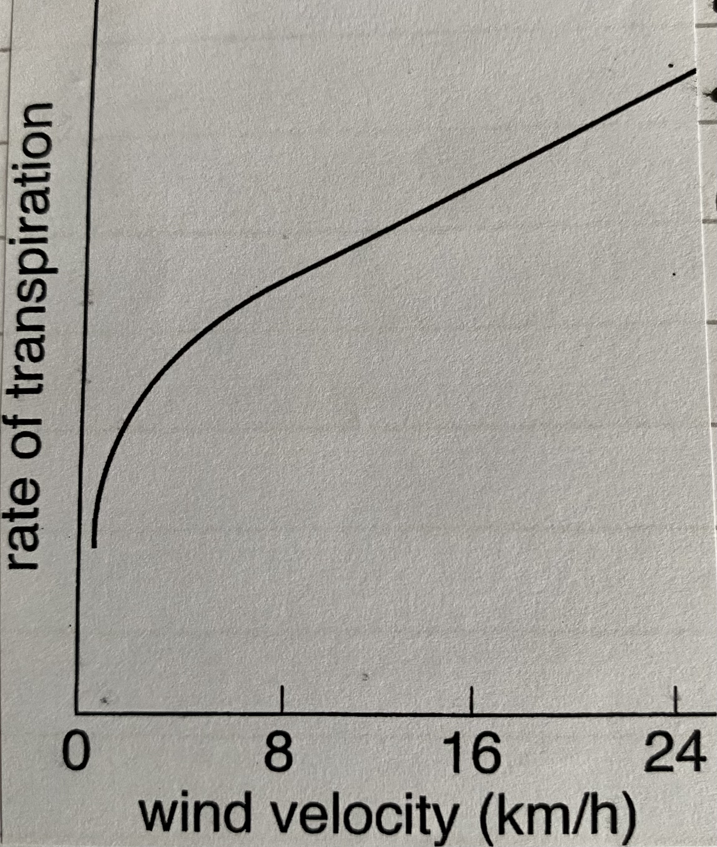 <p>as wind speed increases rate increases as wind moves water vapour in boundary layer (allowing more water vapour to take its place)</p>