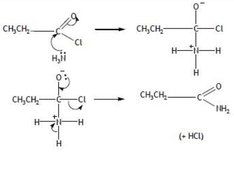<ul><li><p>forms an amide (and HCl / NH4Cl)</p></li></ul>