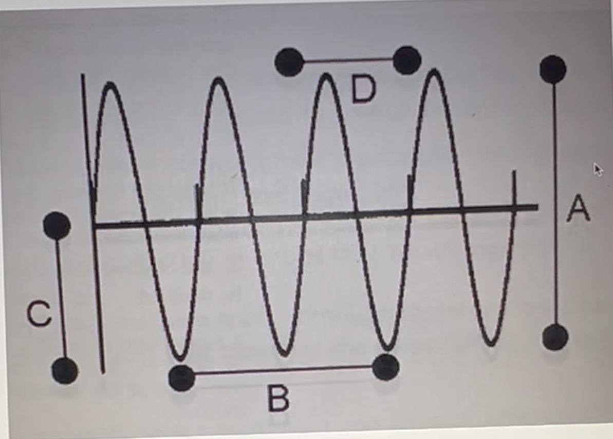 <p>What of the following <strong><em>best</em></strong> describes line D?</p><p>A. period<br>B. amplitude <br>C. frequency <br>D. none of the above</p>