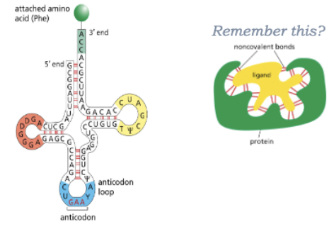 <ul><li><p>REMEMBER THIS?</p></li></ul><p></p>