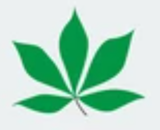 <p>leaf complexity </p>