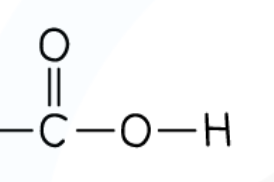 <ul><li><p>C<sub>n</sub>H<sub>2n+1</sub>COOH</p></li><li><p>COOH</p></li></ul><p></p>