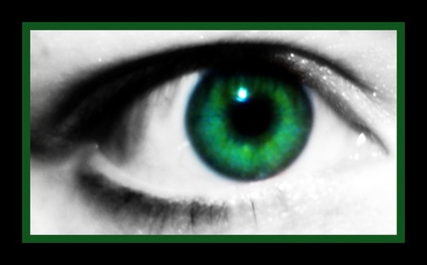 <p>green eyes</p>