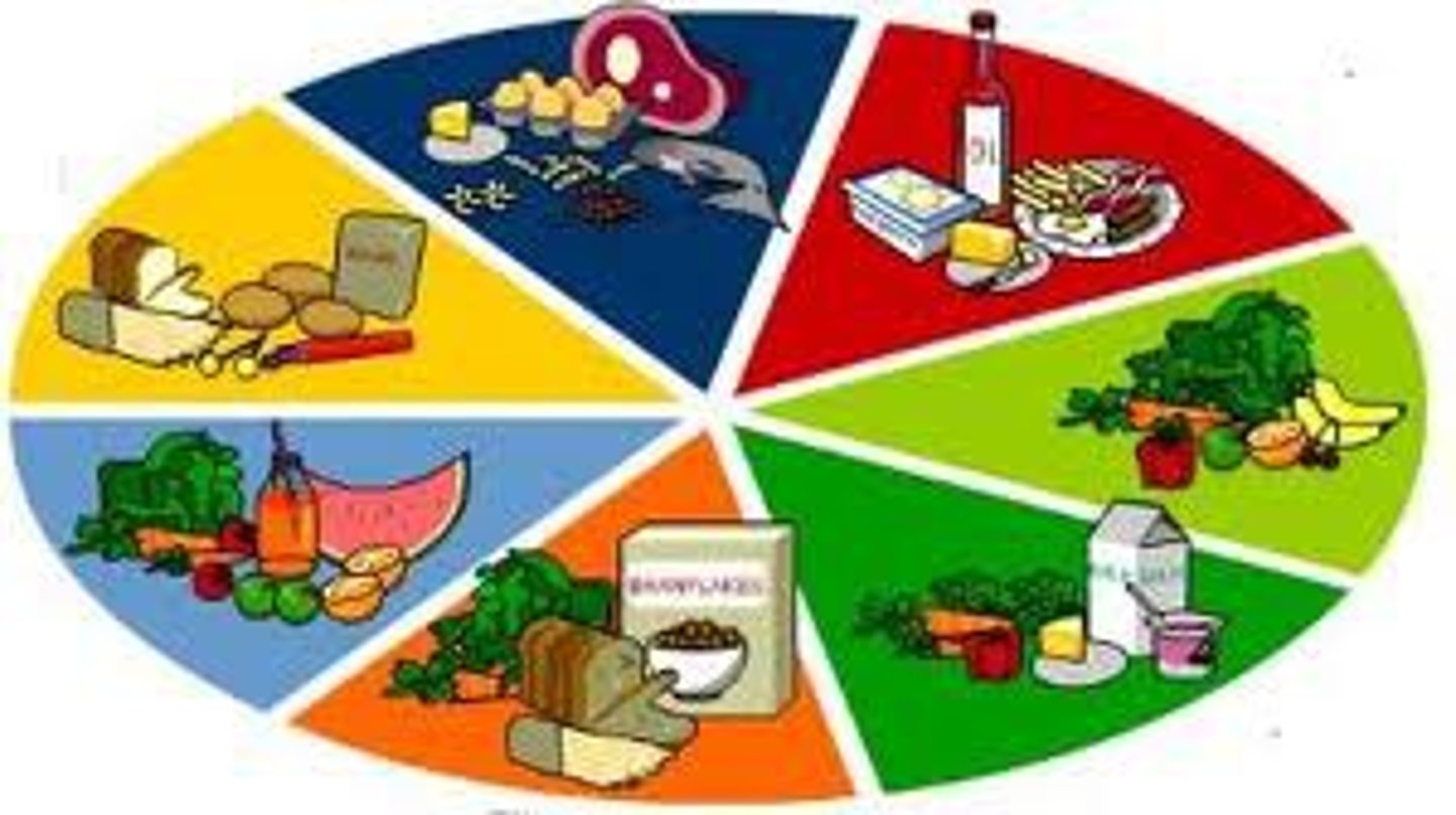 <p>diet</p>