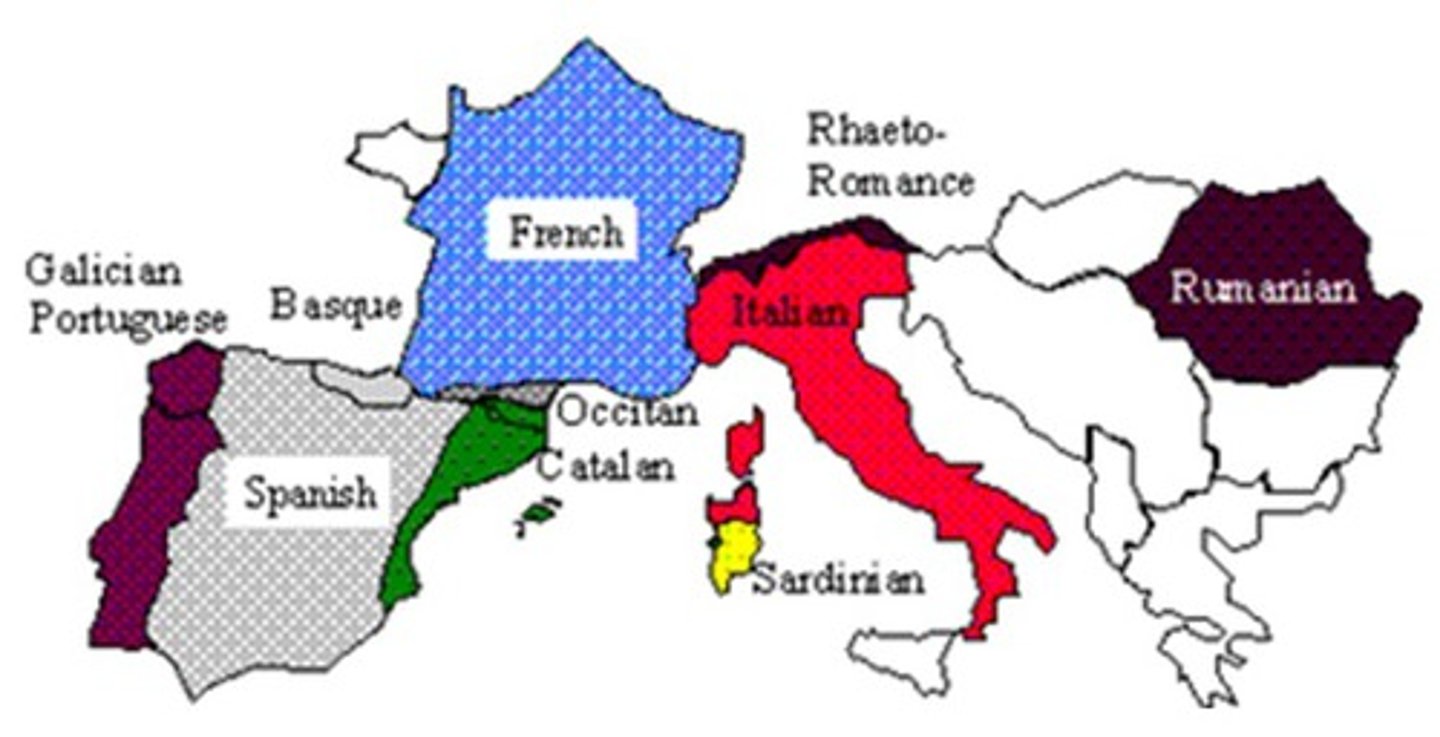 <p>Any of the languages derived from Latin and the Roman Empire including Italian, Spanish, French, and Romanian.</p>