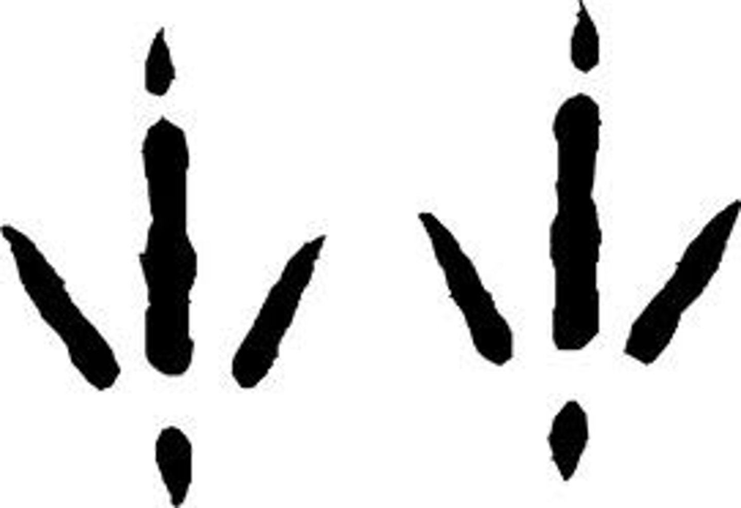 <p>3.5"x4.5"</p>