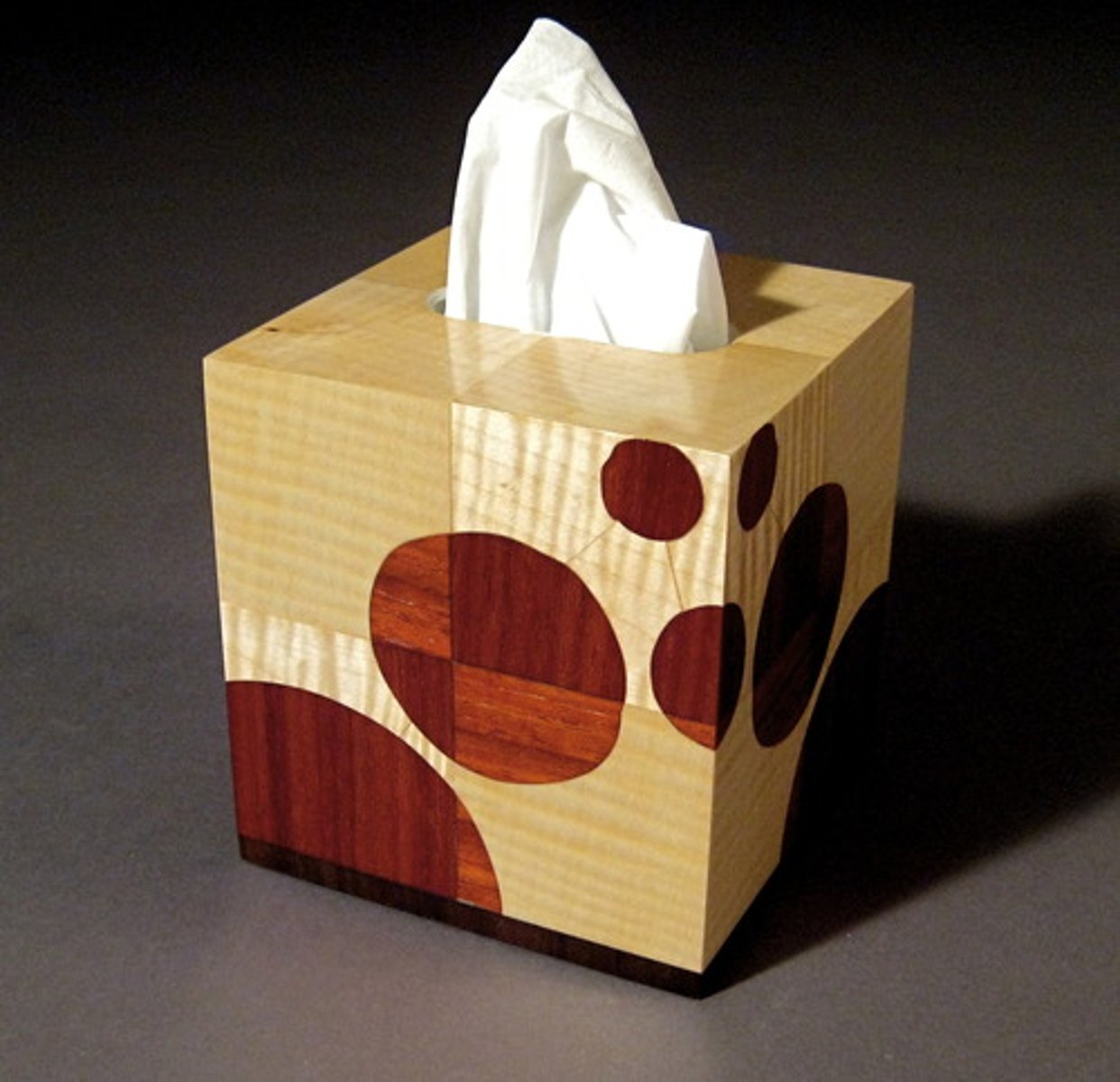 <p>tissue;</p><p>tissues</p>