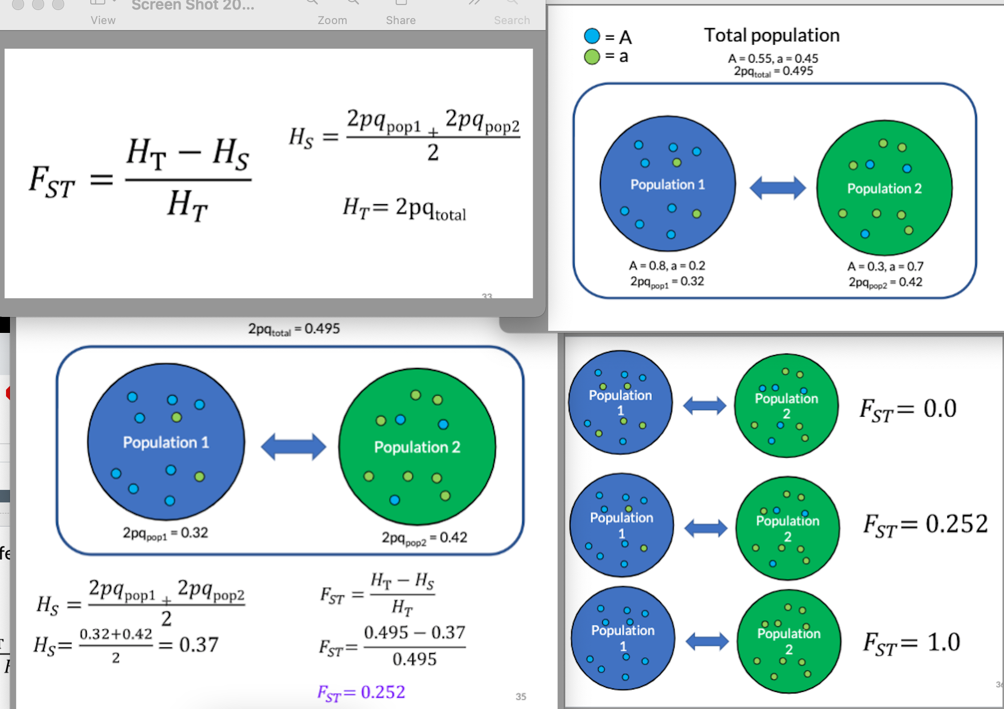 how much genetic variation is within populations compared to the total population