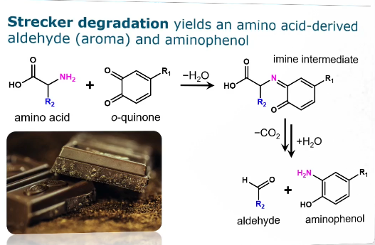 <ul><li><p>Strecker degradation yields an amino acid derived aldehyde (aroma) and aminophenol</p></li><li><p>Amino acid + o-quinone → imine intermediate → aldehyde + aminophenol</p></li><li><p><span><strong><span>Desirable:</span></strong><span> The reaction produces highly odorous Strecker aldehydes (e.g., phenylacetaldehyde, methional) which contribute significantly to the desirable sensory properties and flavor profiles of many foods and beverages, such as chocolate and wine.</span></span></p></li><li><p><span><strong><span>Undesirable:</span></strong><span> The same reaction can lead to the formation of off-flavors, contribute to the loss of beneficial antioxidants, and form potentially unstable intermediate compounds in certain contexts (like wine oxidation)</span></span></p></li></ul><p></p>