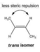<p>Trans</p>