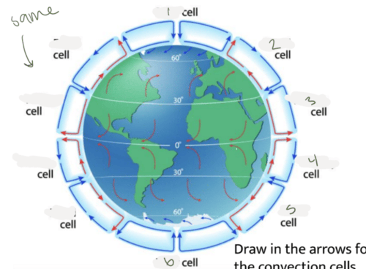 <p>label the cells</p>