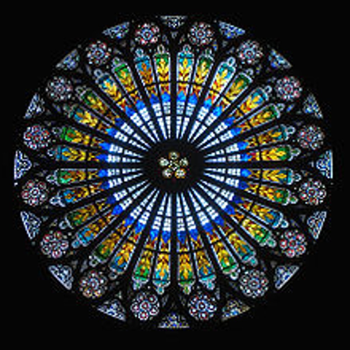 <p>radial</p>