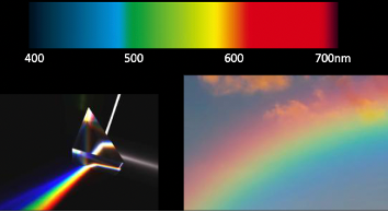 <p>The range of wavelengths of light, which corresponds to different colors perceived by the human eye.</p><ul><li><p>Color is a mental response</p></li><li><p>We have evolved to respond to the color wavelengths</p></li><li><p>Starts with a light source</p><ul><li><p>White light is made up of all the frequency’s at the same levels</p></li></ul></li></ul><p></p>