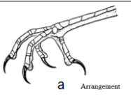 knowt flashcard image