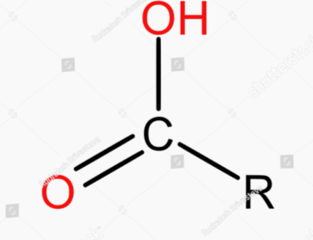 <p>What is this functional group? </p>