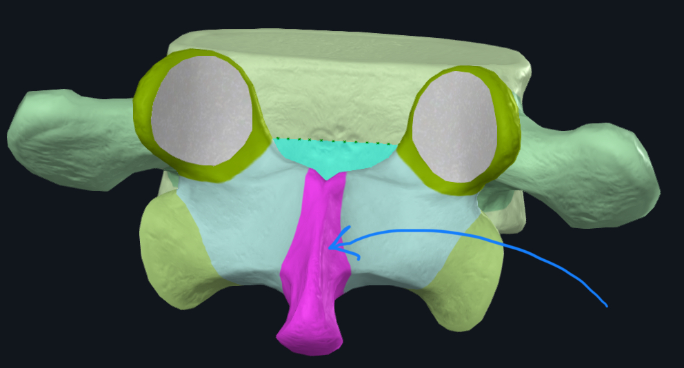<p>what is this?</p>