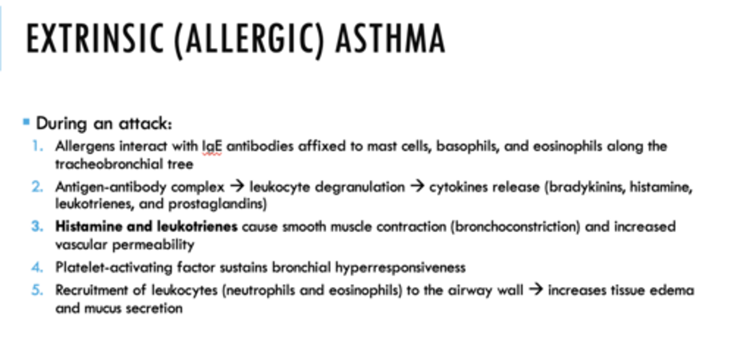 <p>Extrinsic (allergic) asthma</p>