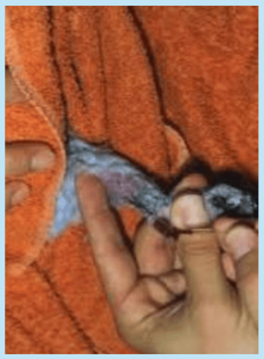 <p>What is shown here?</p>