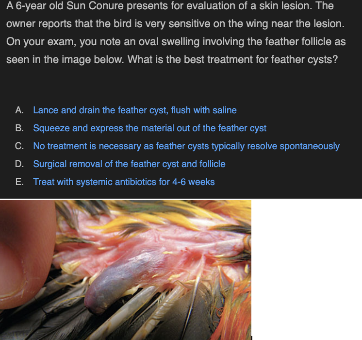 term image