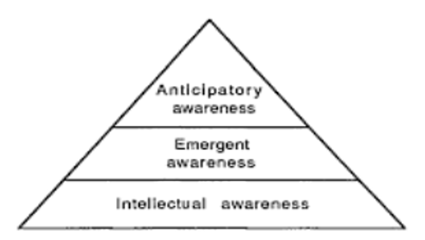 <p>1. Anticipatory (recognize how problem affects performance)</p><p>2. Emergent (recognize problem during a task)</p><p>3. Intellectual (recognize they have a problem)</p>