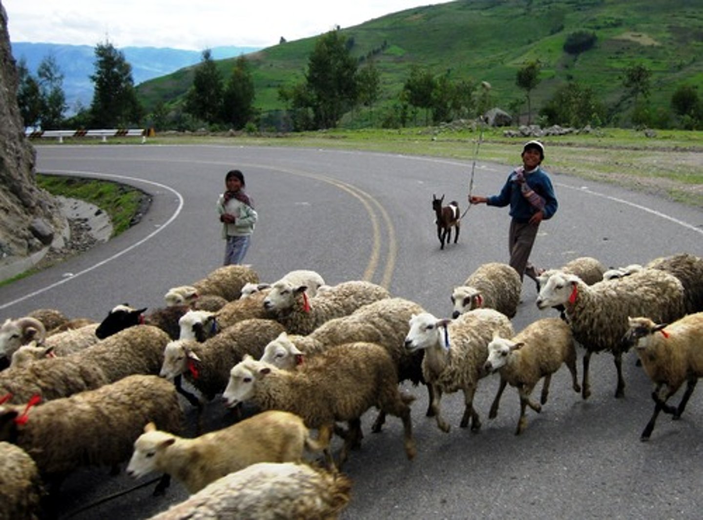 <p>Based on the domestication of animals and use their products as main source of food. Groups move where there is foods but they are more settlers than nomads. Independent and warlike.</p>