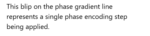 <p>C. Phase encoding step</p>