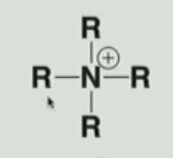 <p>Identify the functional group</p>