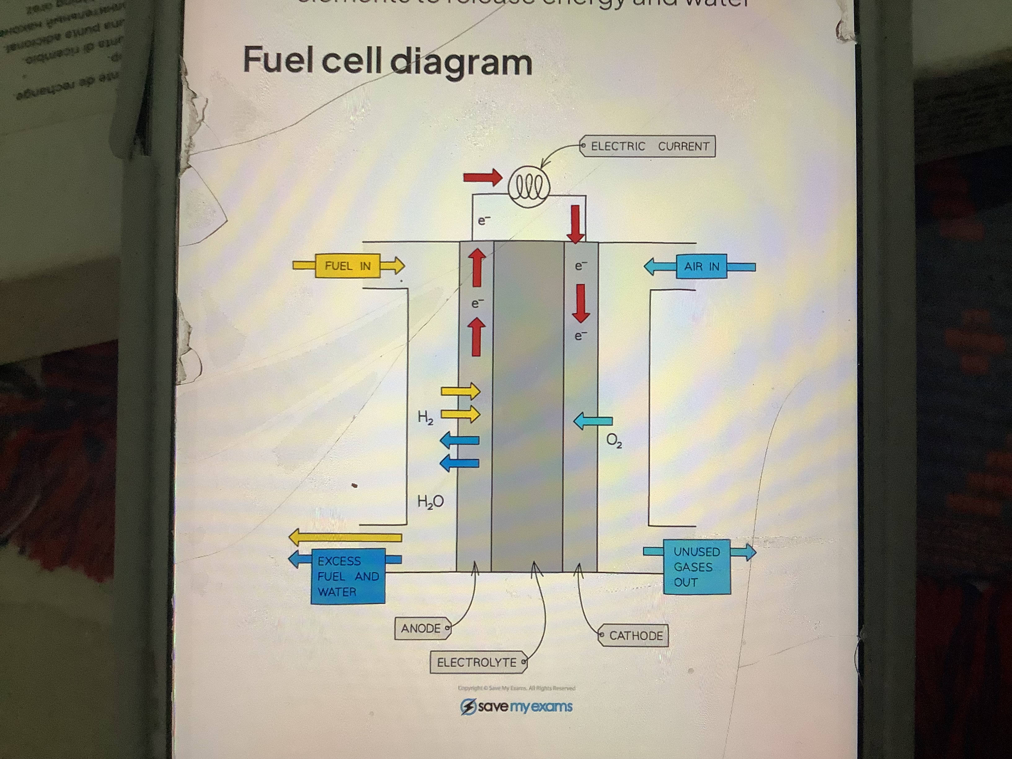 <ul><li><p>is an electrochemical cell in which a fuel donates electrons at one electrode and oxygen gains electrons at other electrode.</p></li><li><p>These cells are becoming more common in the automotive industry to replace petrol or diesel engines </p></li><li><p>As the fuel enters the cell it becomes oxidised which sets up a pd within cell</p></li><li><p>Different electrolytes and fuels can be used to set up different types of fuel cells</p></li><li><p>Hydrogen oxygen fuel cell combines both elements to release energy and water </p></li></ul>
