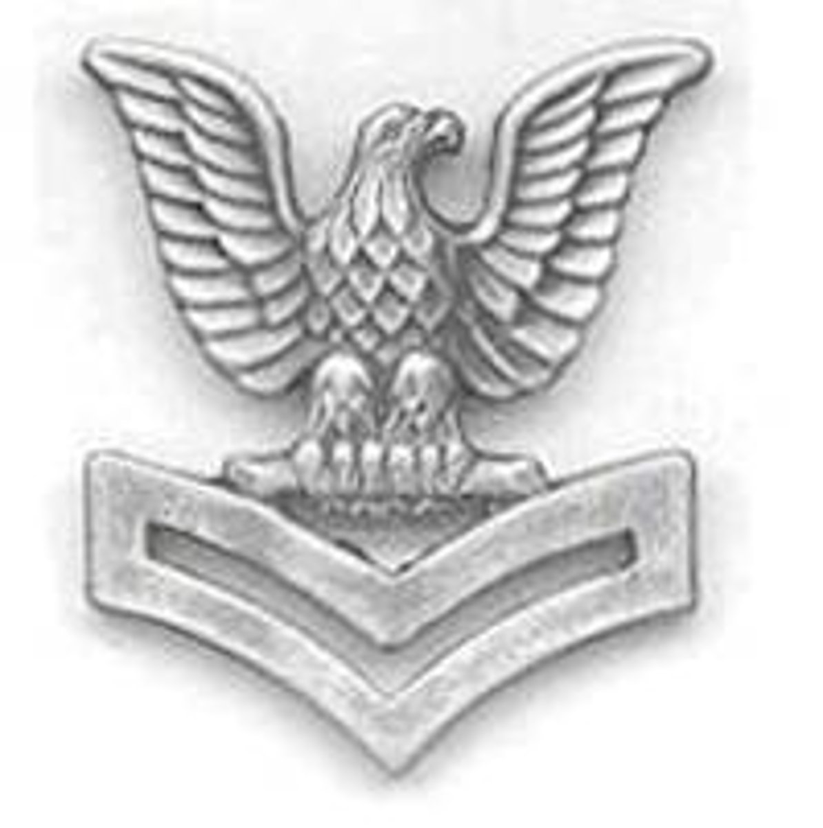 <p>Petty Officer 2nd Class (PO2)</p><p>Silver Eagle with Two Chevrons</p>