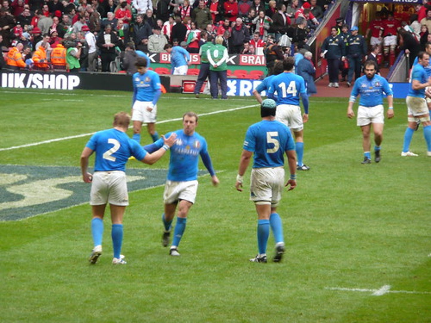 <p>playing field</p>