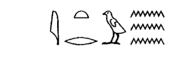 term image
