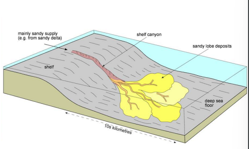 <p>Major incisions into continental shelf, continental slope and rise, dumps sediment into basin floor in a submarine fan</p>