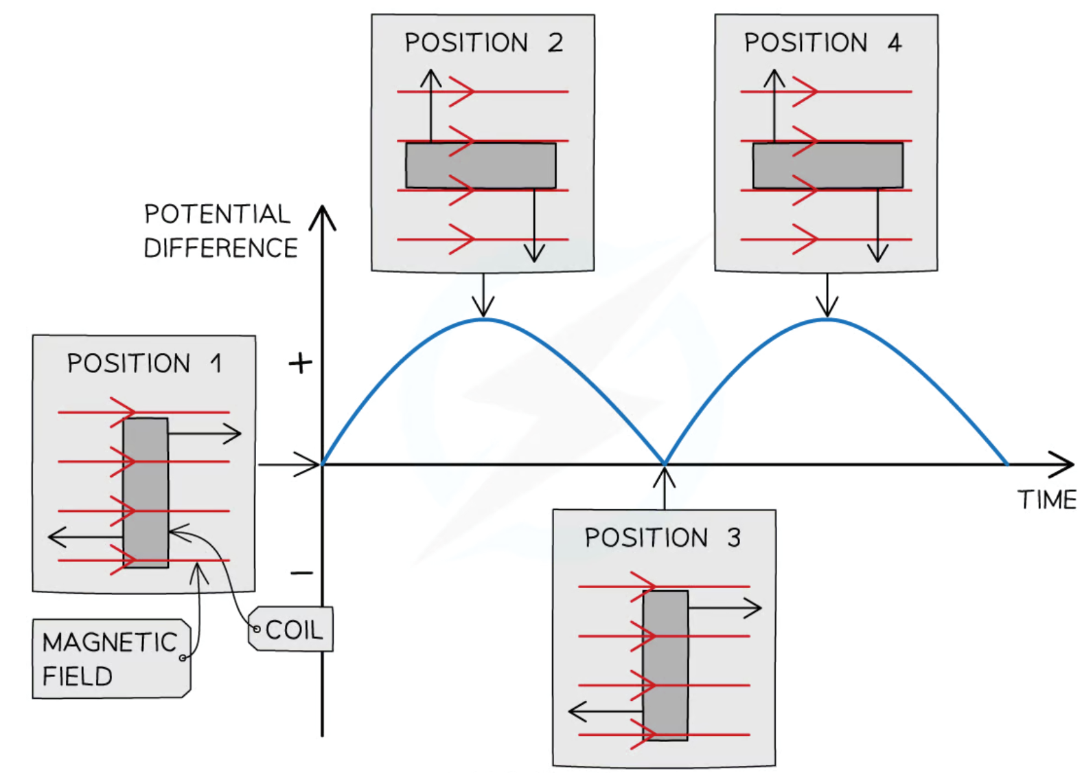 <ul><li><p>the shape of the graph is a sine curve and is always in the same direction</p></li><li><p>when the coil is vertical at 0°, its motion is parallel to the magnetic field, causing the size of the induced p.d. to be 0</p></li><li><p>when the coil has rotated by 90°, its position is horizontal, its motion is perpendicular to the magnetic field, causing the induced p.d. size to be its maximum value</p></li><li><p>when the coil has rotated by 180°, its position is vertical again, its motion is parallel to the magnetic field, causing the induced p.d. size to be 0</p></li><li><p>when the coil has rotated by 270°, its position is horizontal again, its motion is perpendicular to the magnetic field, causing the induced p.d. size to be its maximum value and in the same direction to the value at 90°</p></li><li><p>when the coil has rotated by 360°, its position is at its starting point, its motion is parallel to the magnetic field, causing the induced p.d. size to be 0</p></li></ul><p></p>