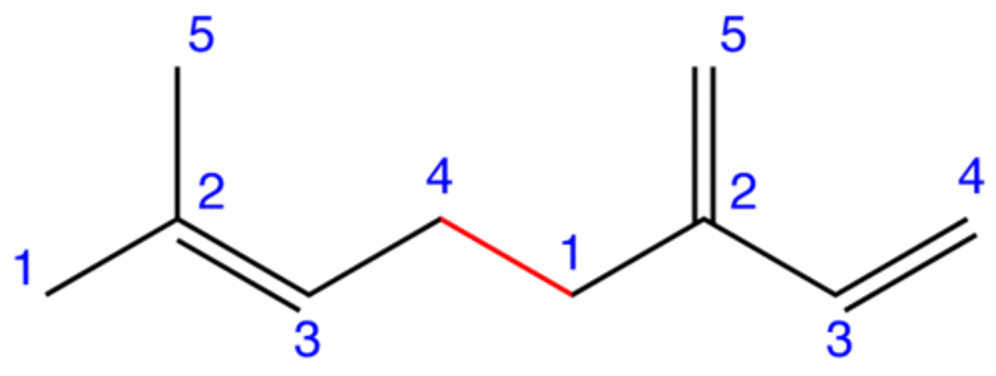 <p>-metabolic precursors to steroids and other lipid signaling molecules</p><p>-odiferous chemicals</p><p>-class of lipids built from isoprene</p><p>- carbons are grouped in multiples of 5</p><p>-grouped according to the # of isoprene units present</p><p>-a single terpene consists of 2 isoprene units</p>