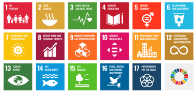 <ul><li><p>The new goals/standards</p></li><li><p>A Universal Call to Action. The SDGs are a blueprint for peace and prosperity, applicable to all countries, and pledge to “leave no one behind.”</p></li><li><p>Integrated Goals: Sustainable development requires integrating economic growth, social well-being, and environmental protection ○ </p></li><li><p>A 15-Year Agenda: adopted in 2015, intended to be achieved by 2030</p></li></ul><p></p>