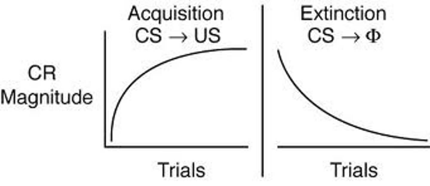 <p>the diminishing of a conditioned response; occurs in classical conditioning when an unconditioned stimulus (US) does not follow a conditioned stimulus (CS); occurs in operant conditioning when a response is no longer reinforced.</p>