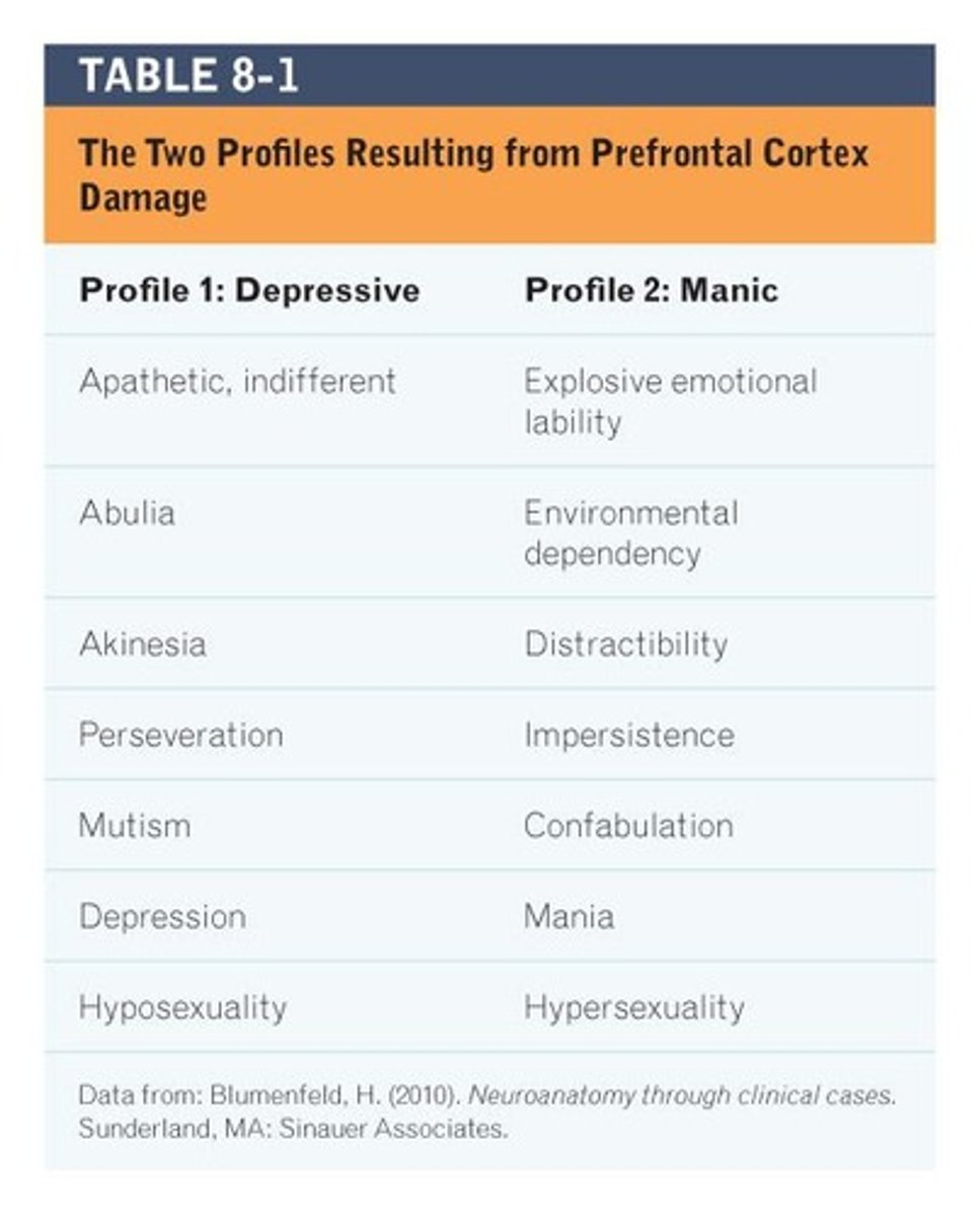 <p>Profile 1: Depressive</p><p>Profile 2: Manic</p>