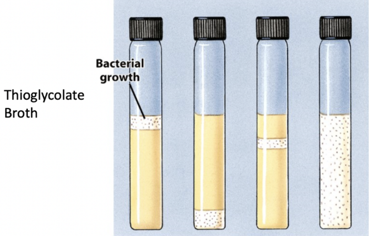<p>Oxygen Requirements for anaerobes/ aerobes</p>